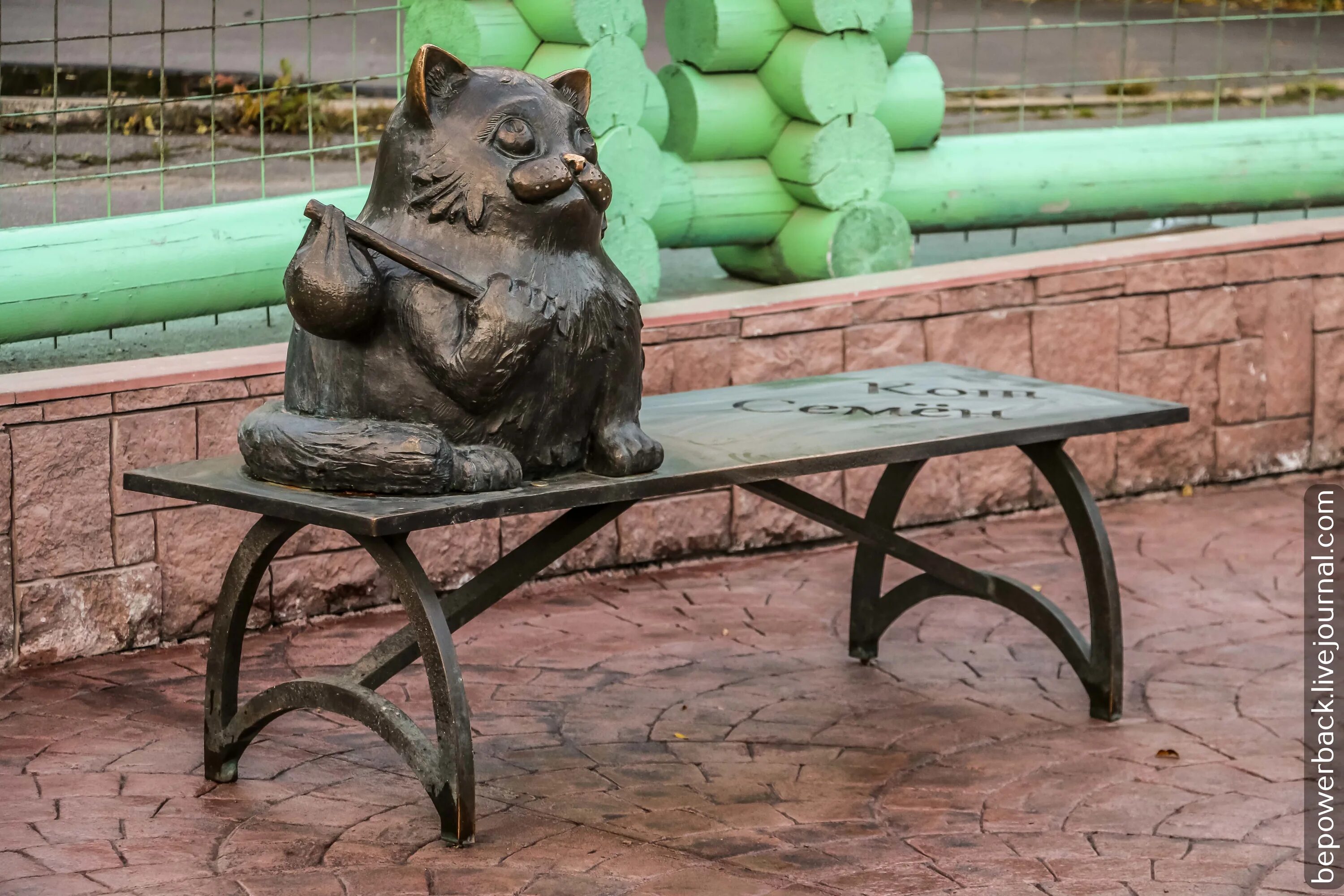 Кот семён мурманск. Мурманск, мурманская область). Кот семён мурманск. Кот в мурманске. Кот в мурманске.