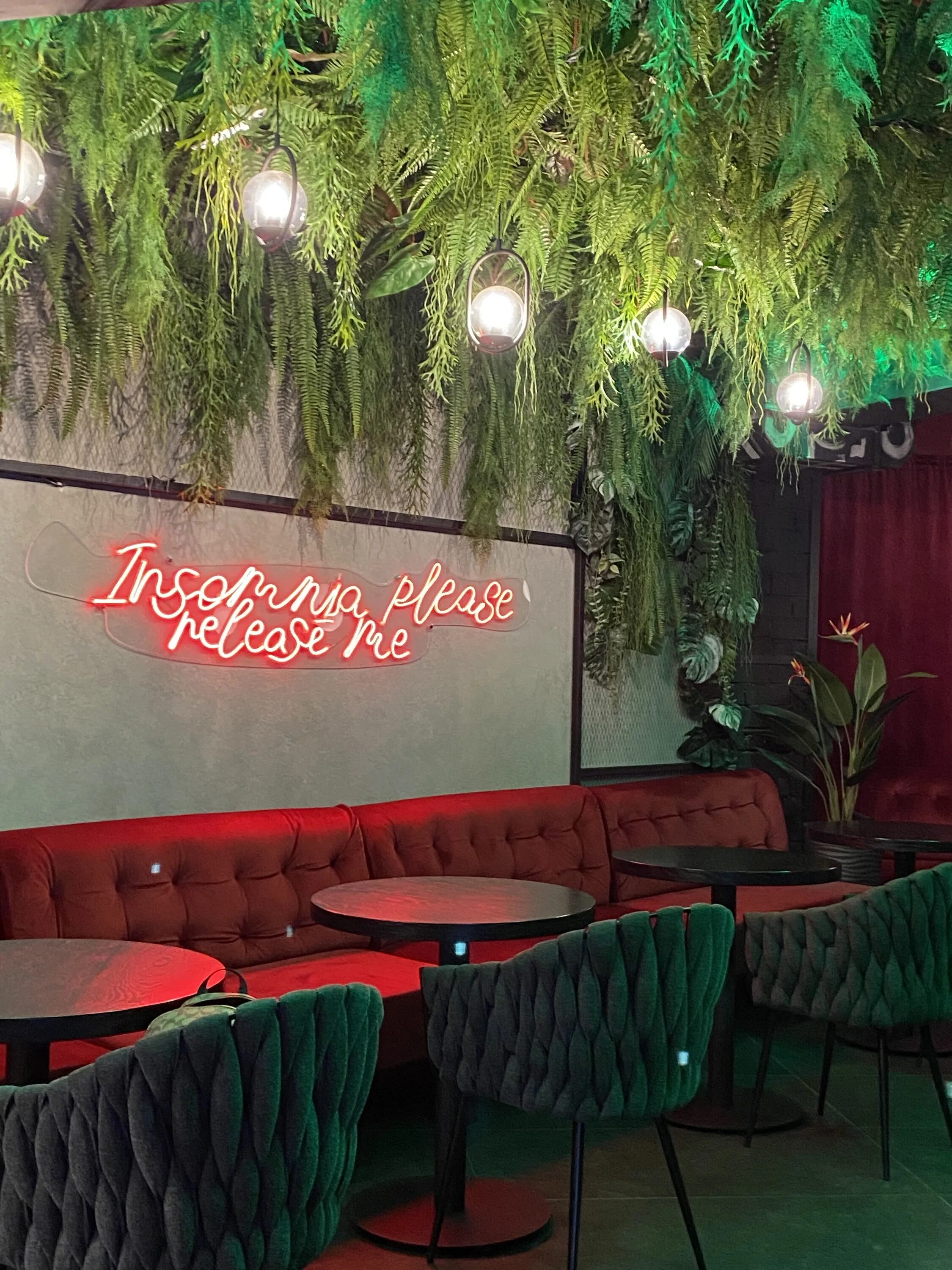 Бар «forest». Клуб инсомния германия. Insomnia мурманск. Insomnia липецк. Insomnia клуб.