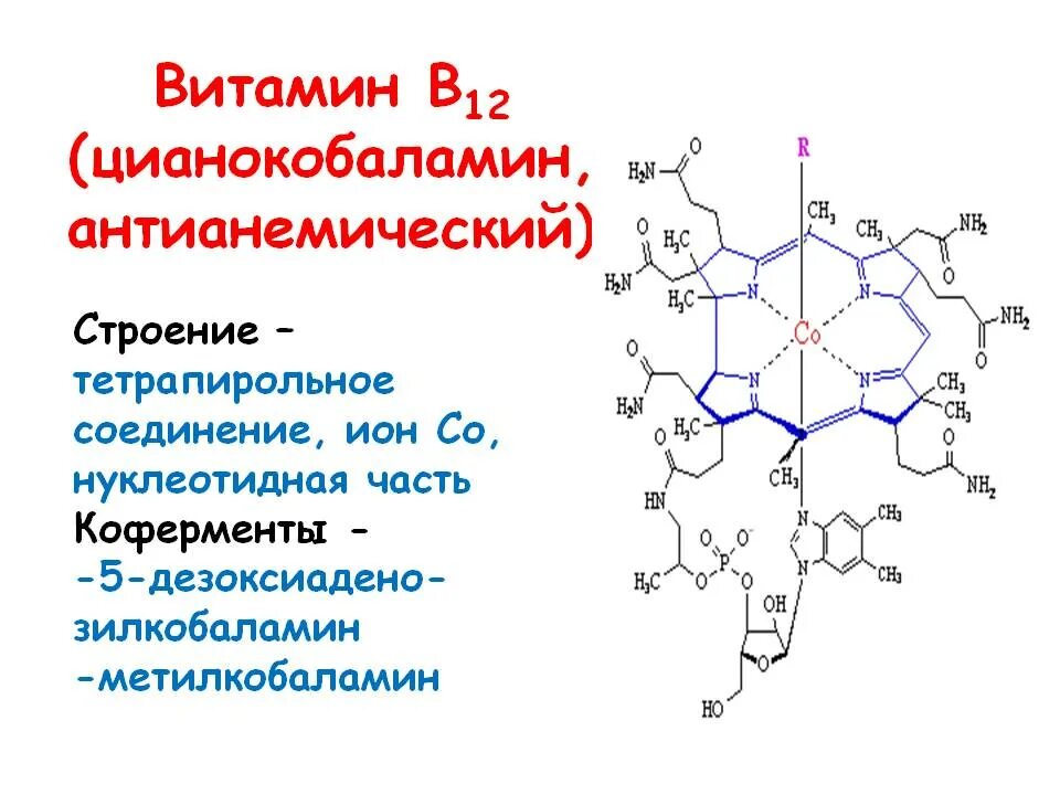 Активный б 12. Кофермент витамина в12. Витамин b12 структура. Химическая структура витамина в12. Витамин б12 строение.