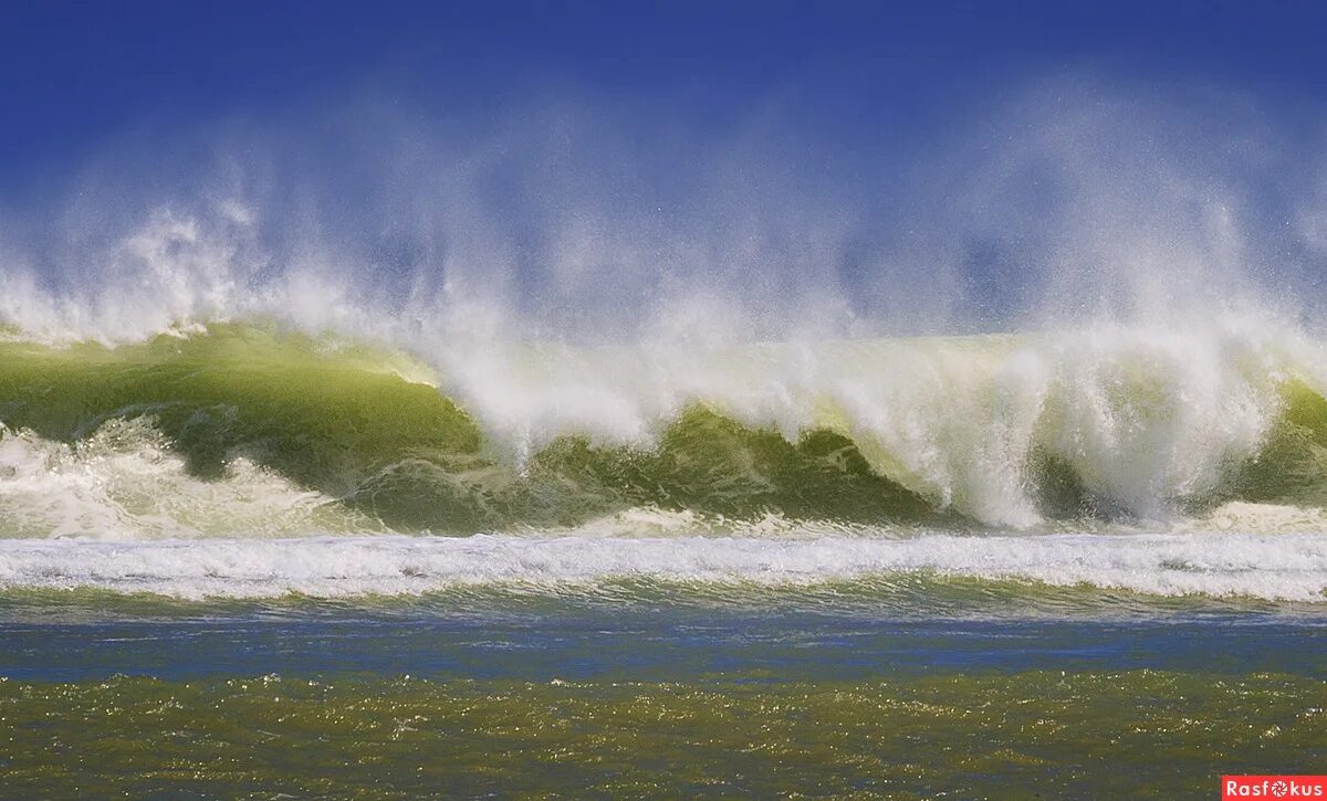 барашки на волнах