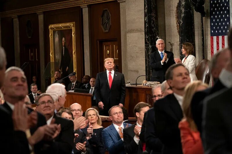 Выборы в конгресс сша. Дональд трамп в конгрессе. президент и конгресс сша. конгресс сша 2025. споры в конгрессе.