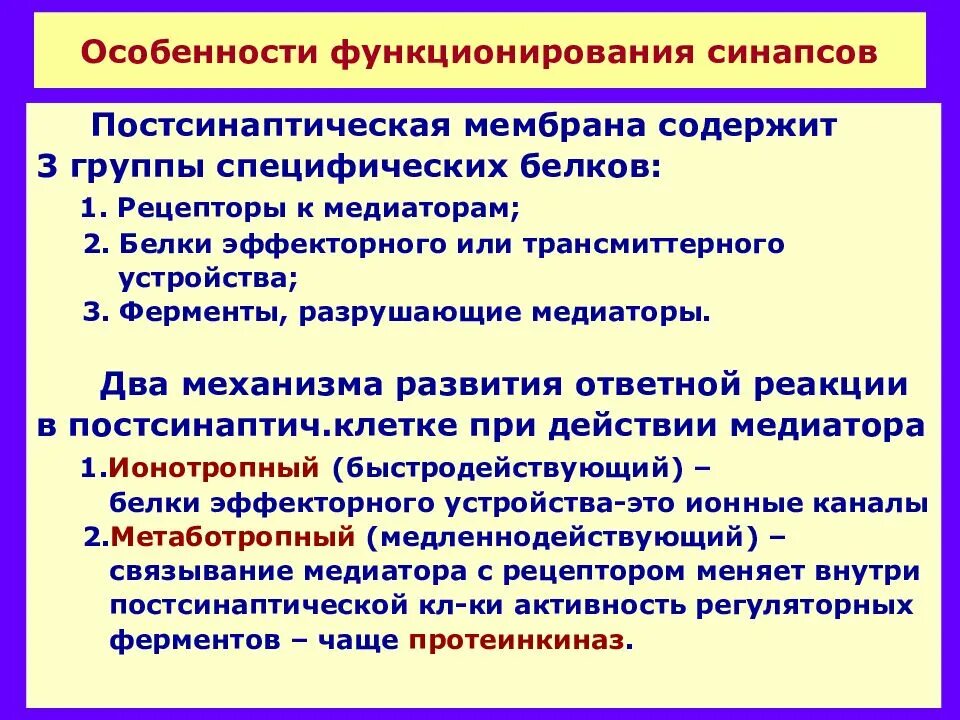 Особенности т групп. Рецепторы постсинаптической мембраны. Особенности функционирования синапсов. Классификация рецепторов постсинаптической мембраны. Виды рецепторов на постсинаптической мембране.