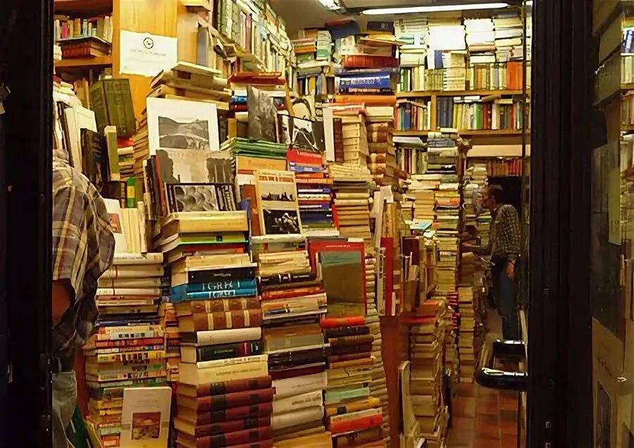 Lots of books. Many books here. Many books here. Many books here. Many books.