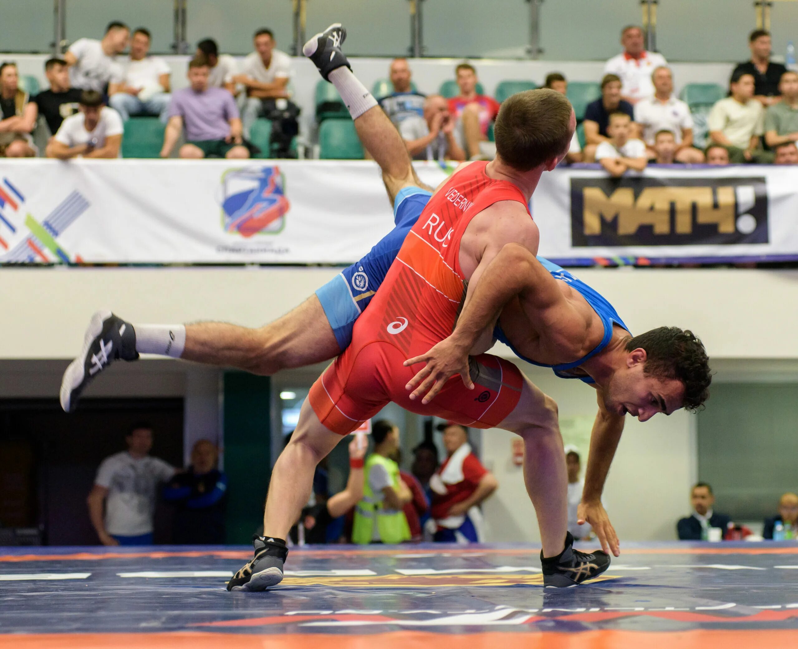 спортивная борьба дисциплины