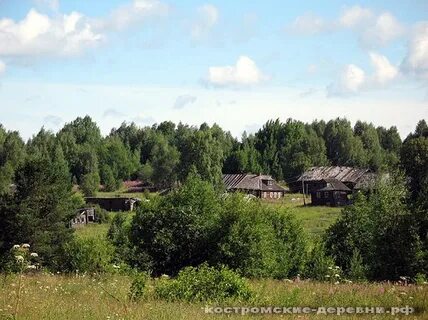 Палкино костромской