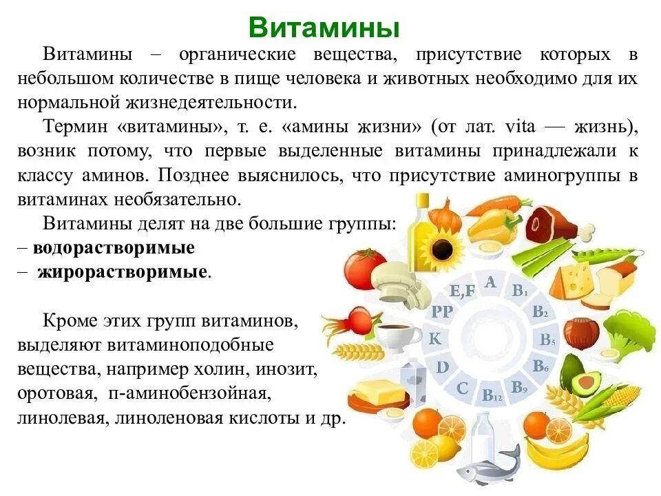 Биологические соединения витамины. Витамины что это. Витамины. Витамины что это. Витамины это своими словами.