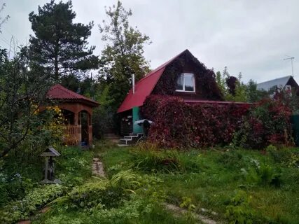 Дачи в октябрьском
