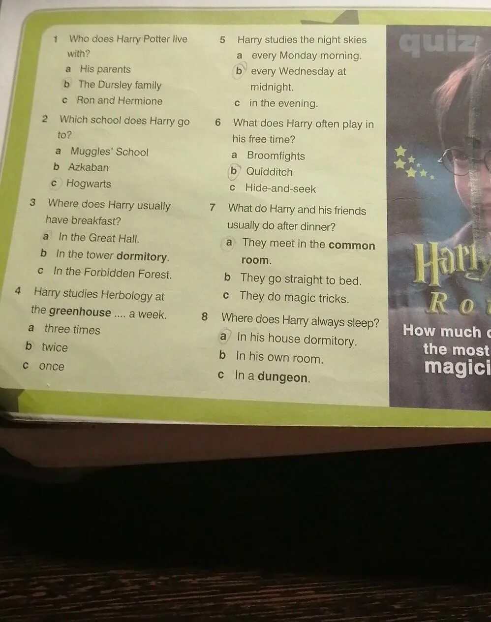 Who does harry potter live with