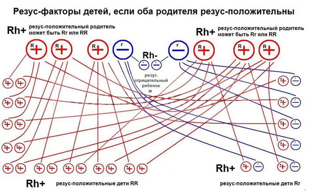 Группа крови отрицательный резус у родителей. Если у родителей 1 резус фактор а ребенок. Ребенок с отрицательным резусом у положительных родителей. Обоих родителей положительный резус фактор а у ребёнка отрицательный. У родителей 2 положительный резус а у ребенка.