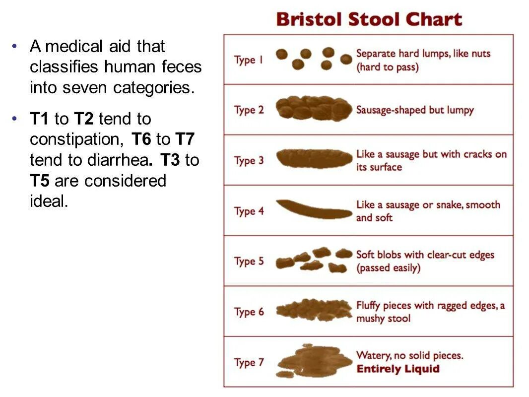 Золотистый кал у взрослого. Бристольская шкала стула норма. Бристольской шкале кала. Нормальный стул у взрослого.