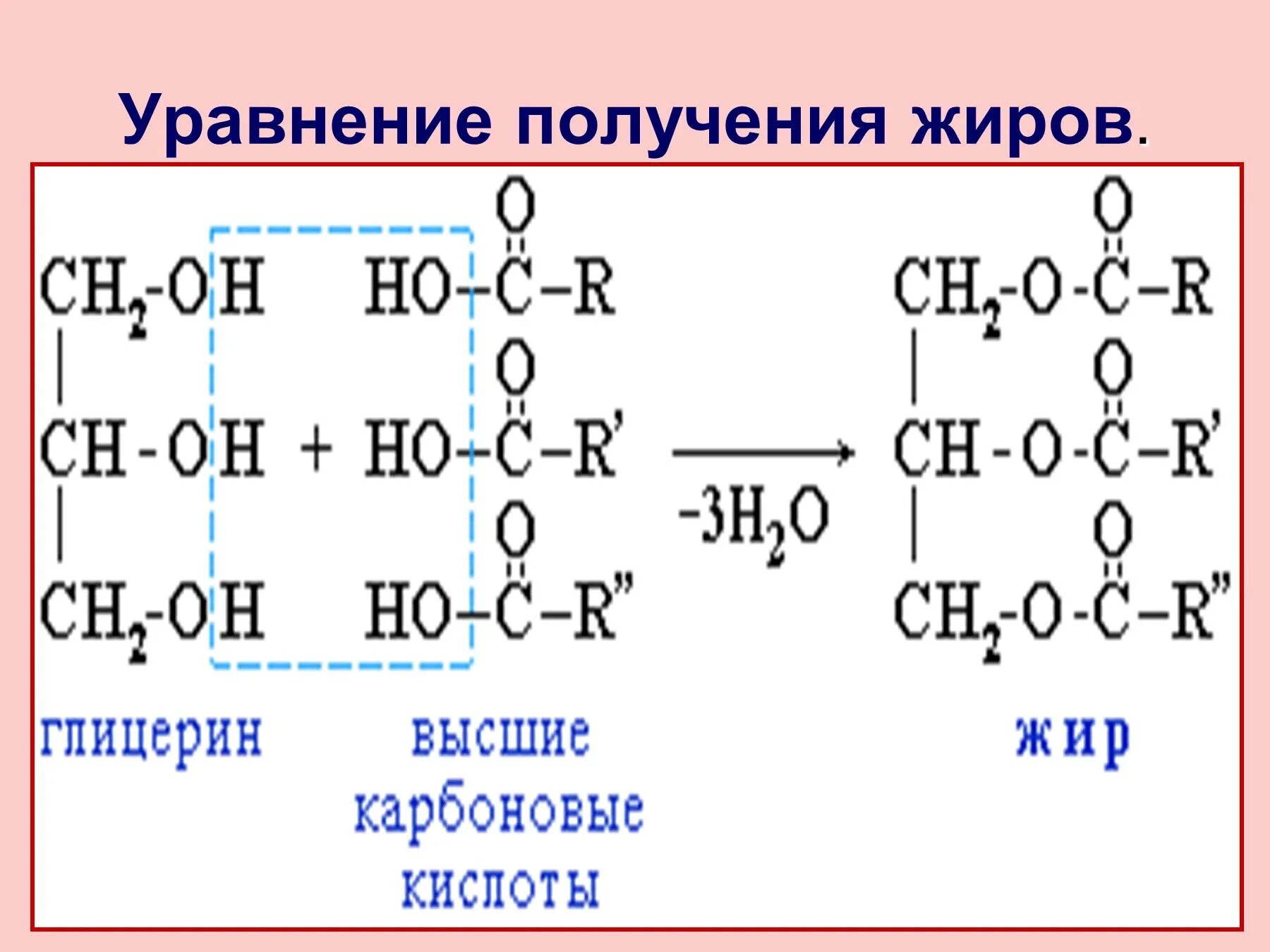 Общее название жиров. Получение жиров уравнение реакции. Способы получения жиров уравнение. Схема получения жира. Получение жиров химия 10 класс.