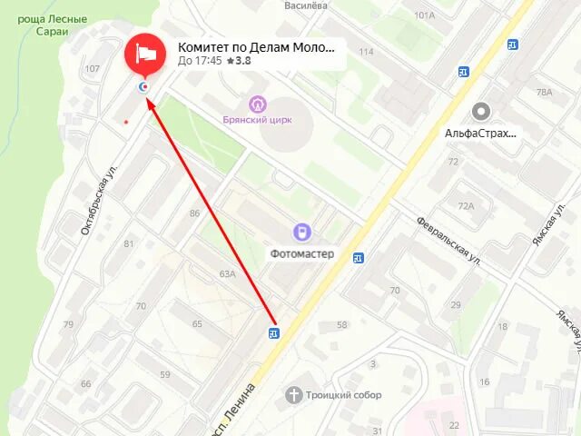 Опека брянск телефон. Органы опеки тула. Работник опеки и попечительства. Органы опеки и попечительства г клинцы. Опека брянск телефон.