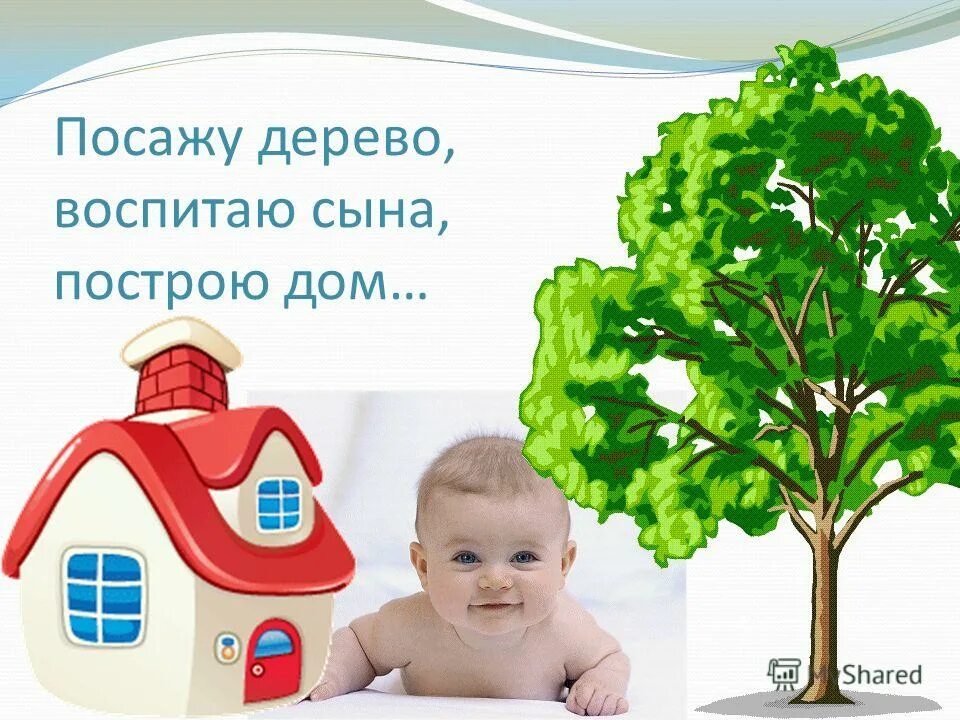 Давай с тобой построим дом. Построить дом вырастить сына. Посадить дерево вырастить сына. Посади дерево Построй дом вырасти сына. Дом дерево сын.