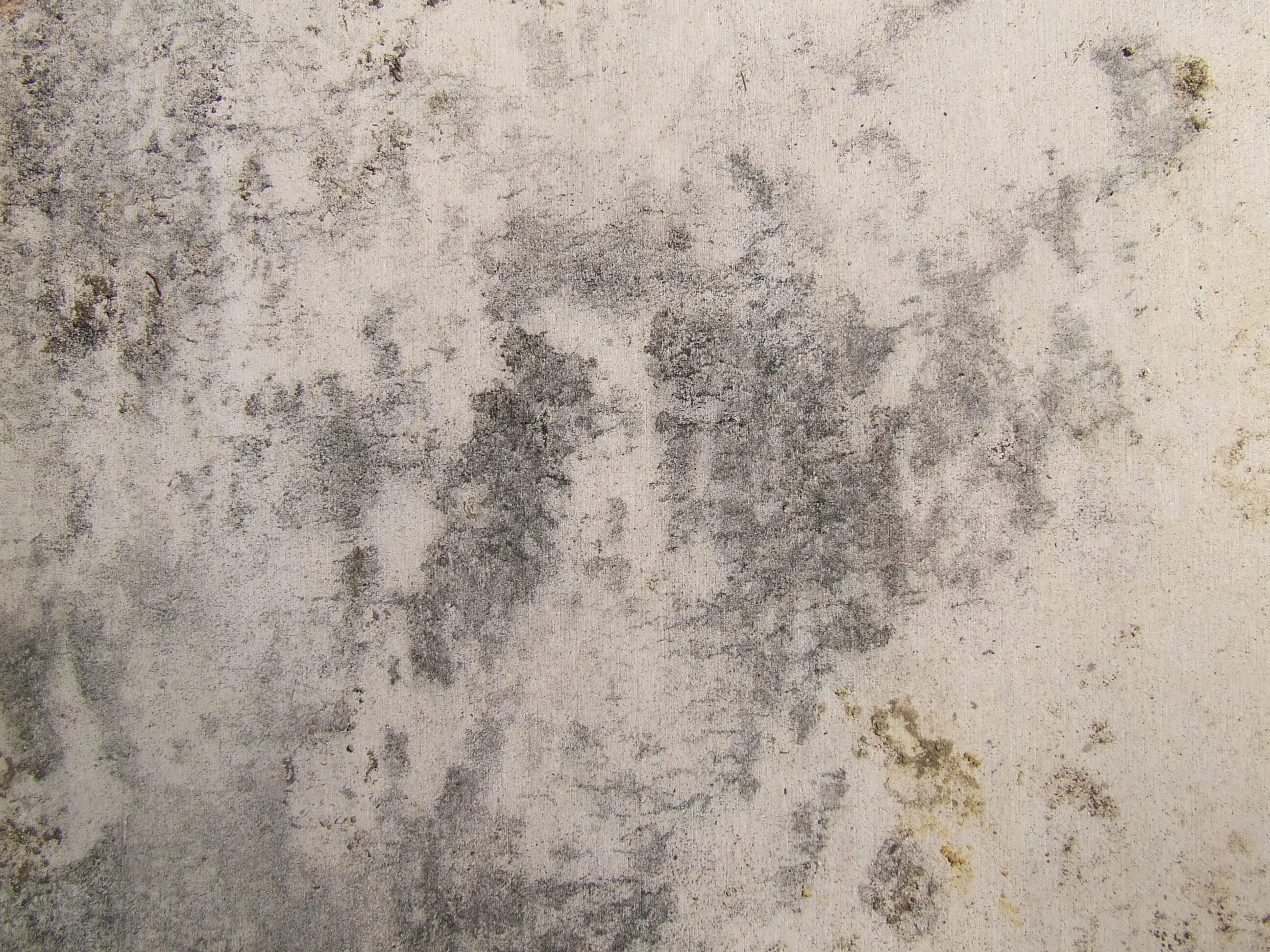 Текстура грязи. Текстура бетона. Бетонная стена. Dirt texture штукатурка. Dirty worn