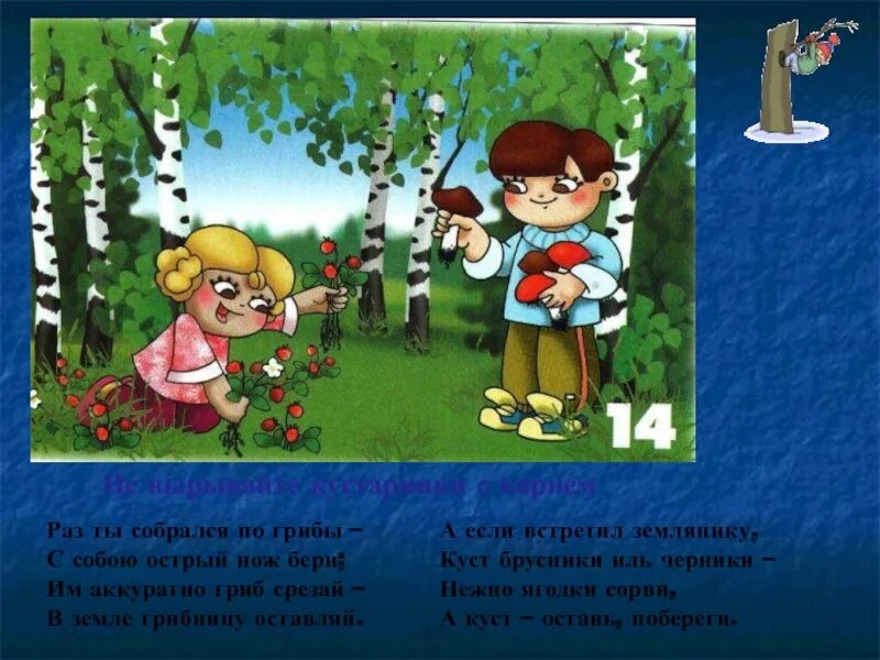 Не куст а