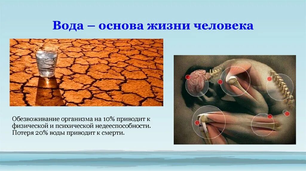 Потеря организмом воды приводит к. Обезвоживание организма презентация. Вода основа жизни человека. Влияние обезвоживания на организм. Организм теряет воду