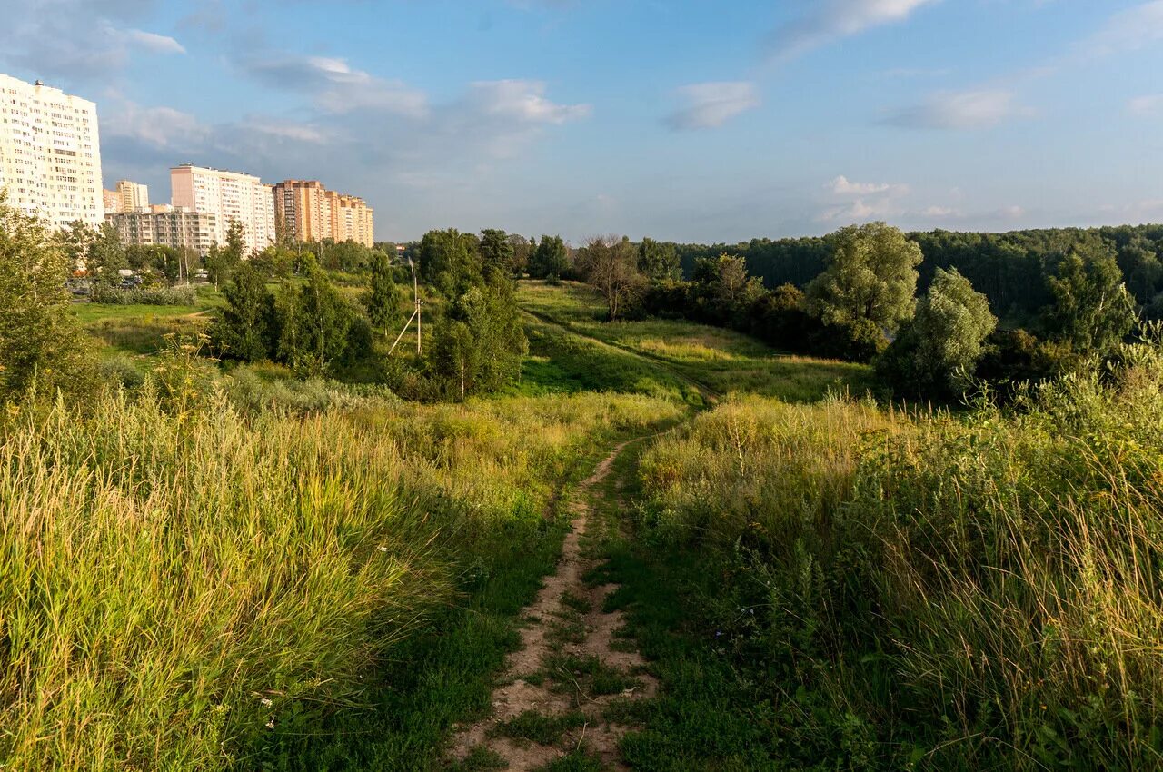 Лианозово хлебниково. Парк река Долгопрудный. Долгопрудный. Город Долгопрудный Московской области. Холм Долгопрудный.