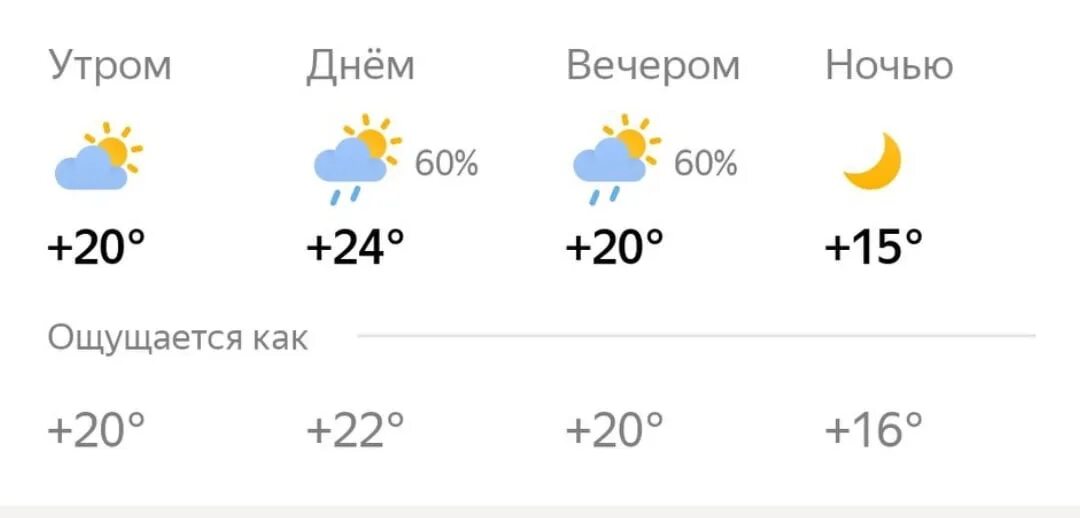 Погода брянск февраль. Погода -35. Погода на 29 июня. Погода в июле Брянск. Погода в Брянске на июнь.