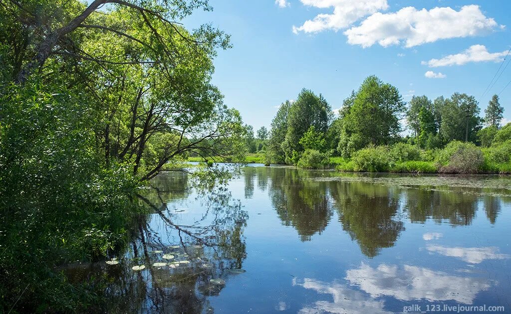 Таежный десна. Десногорск река Десна. Река Десна Брянск. Ельня Смоленская область река Десна. Исток реки десны в Московской области.