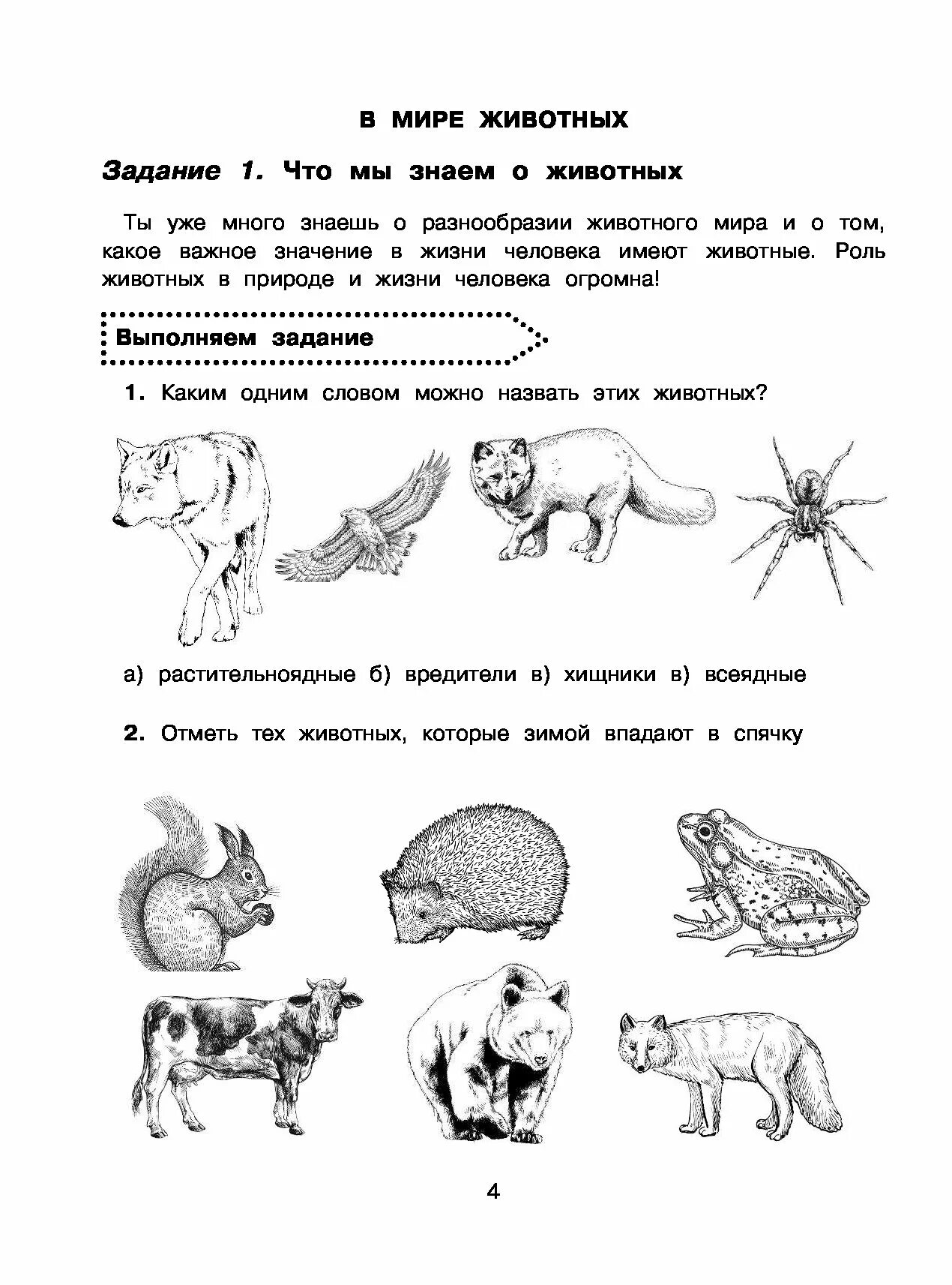 Творческие задания окружающий мир