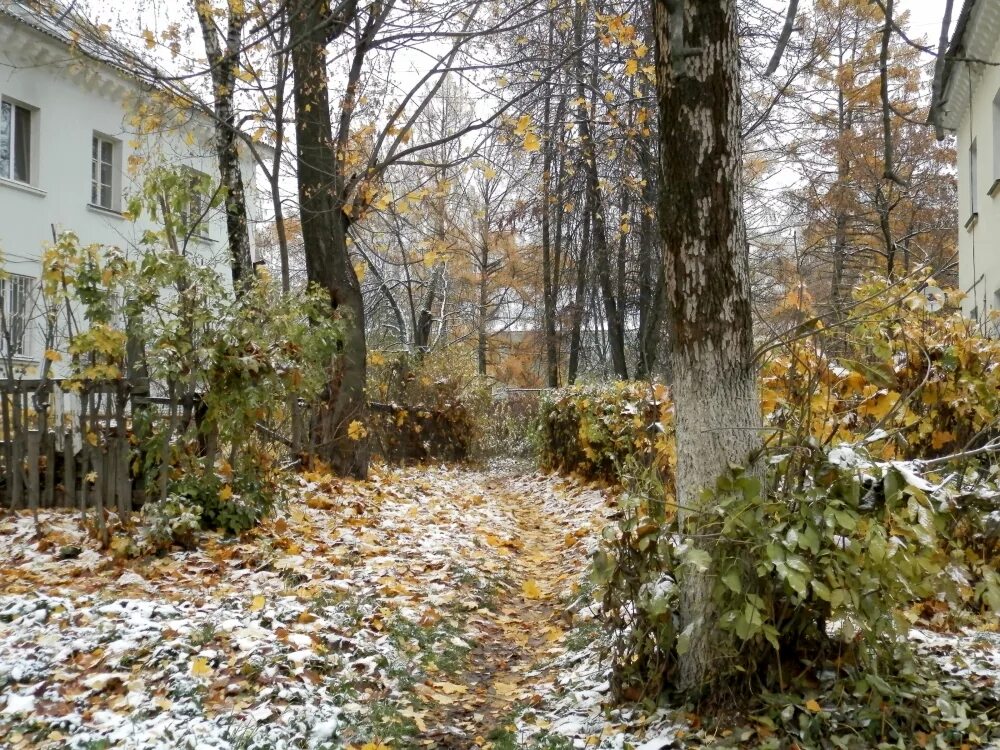 Заря. Главный штаб ввс балашиха заря. Советская, д. Степная 13 брянск. Жк молодежный красногорск.
