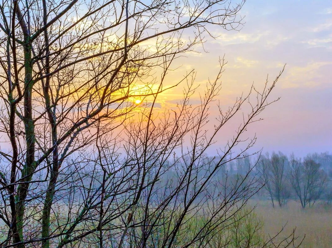 Погода ясный апрель. Весеннее солнце. Рассвет ранней весной. Весенний рассвет. Солнечного весеннего утра.