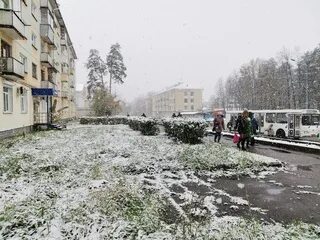 Погода в зеленогорске завтра подробно