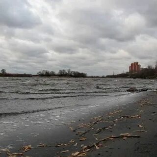 Лыткарино москва река