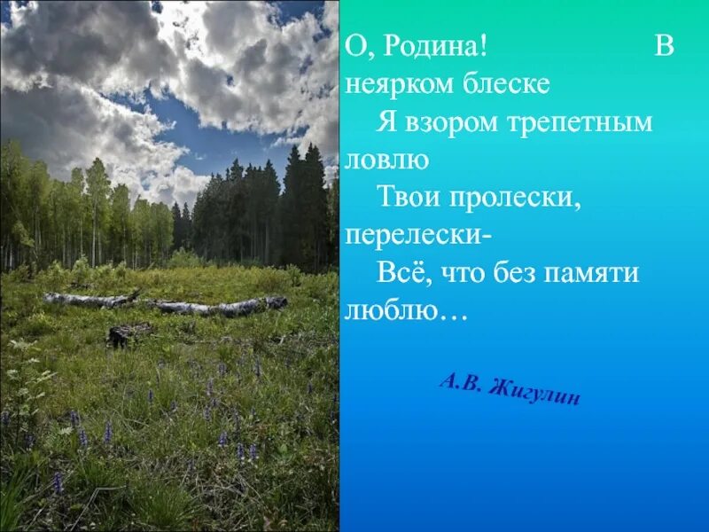 Стих о родина в неярком. Жигулин о Родина в неярком блеске. Жигулин о Родина. Стихотворение о Родина Жигулин.