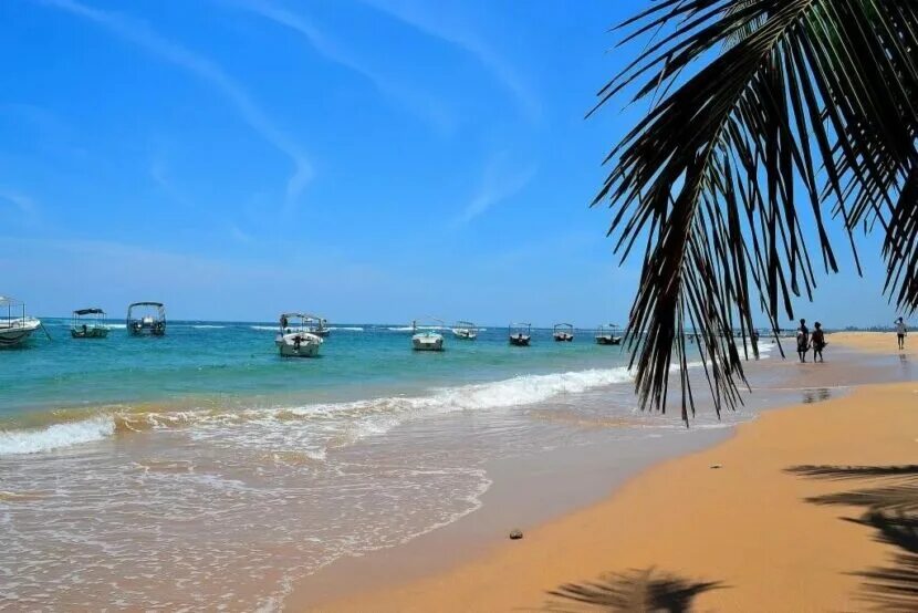 Шри ланка какие пляжи. Негомбо Шри Ланка. Негомбо пляж. Город Негомбо Шри Ланка. Негомбо в Коломбо.