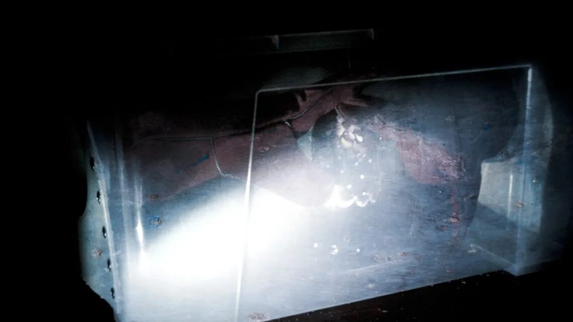 прятки в темноте. на ощупь. квест на ощупь мир квестов. квест на ощупь москва. прятки в темноте локация.