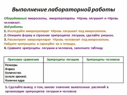 Лабораторная работа изучение микроскопического