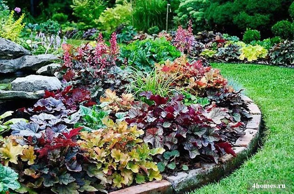 Coral Bells and Hybrids - FineGardening Shade garden plants, Shade garden design