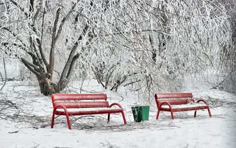 Скамейка в снегу