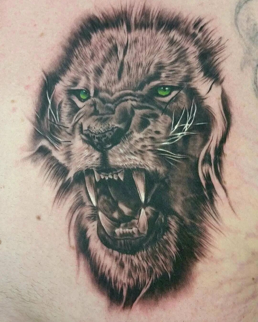 Львиный оскал тату. Тату лев. Тату лев. Оскал льва тату эскиз. Тату лев с оскалом на груди.