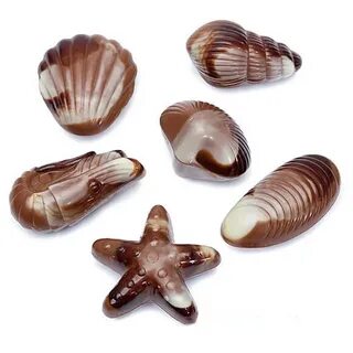 Бельгийские ракушки