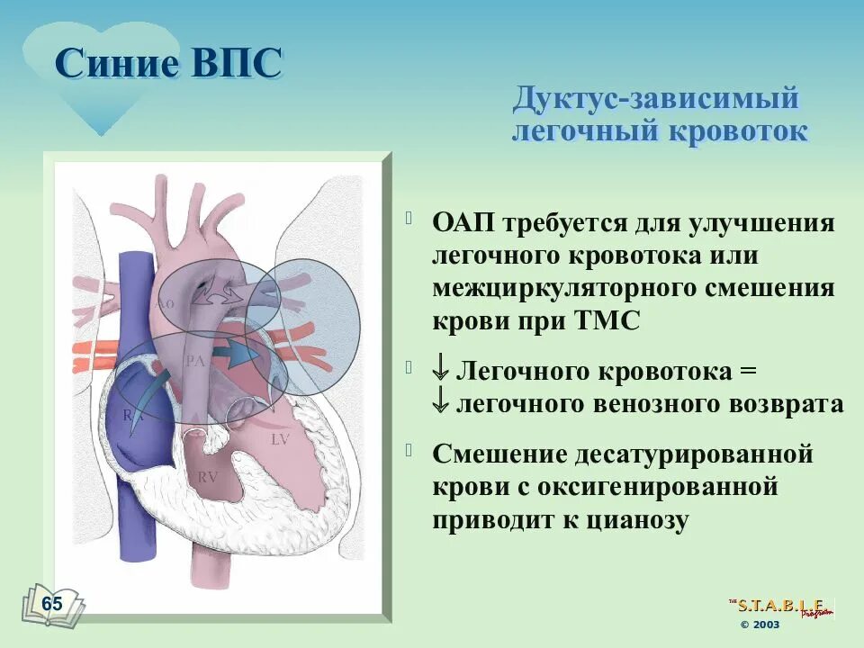 Впс сервис