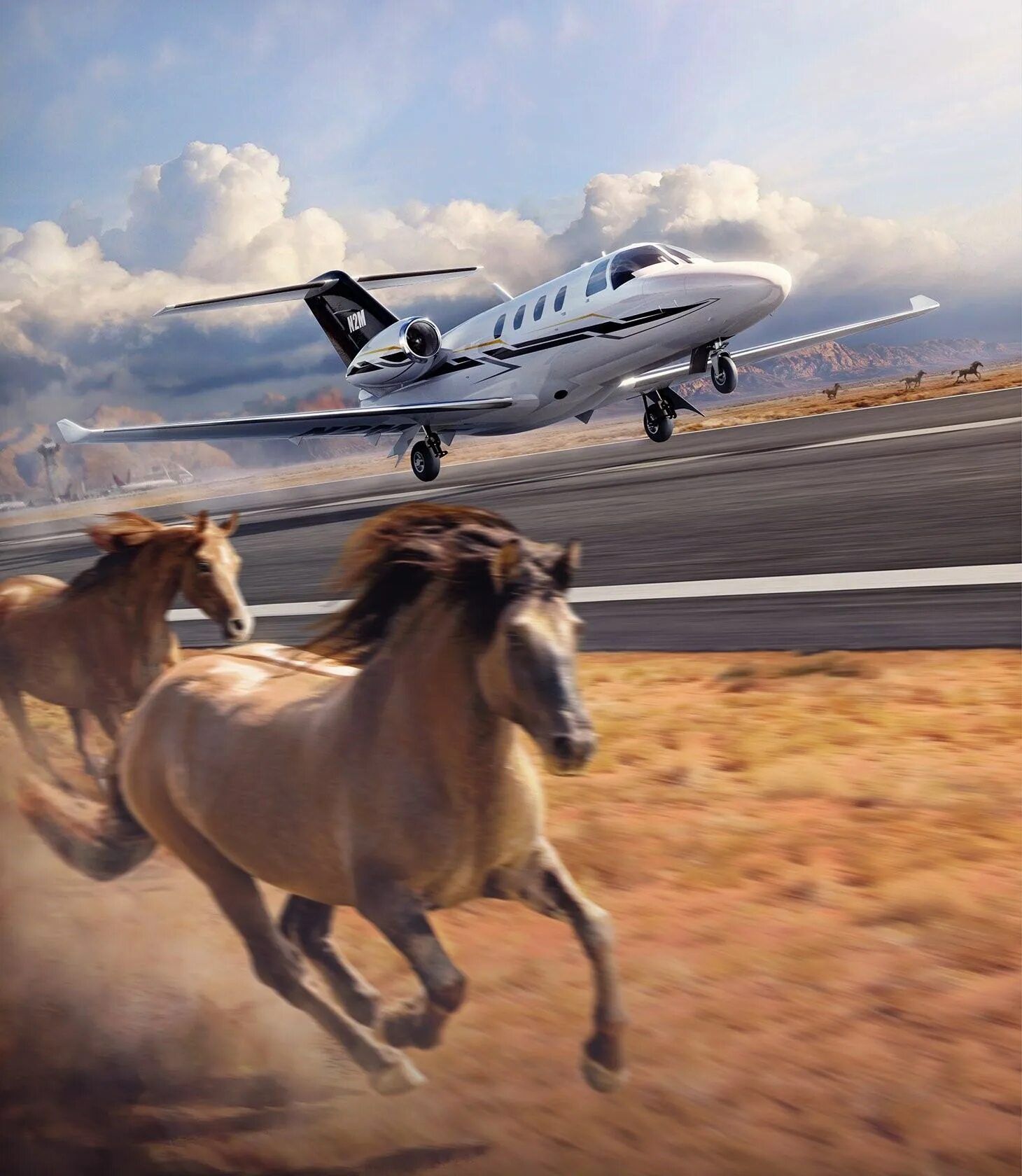 Лошадь в самолете. Животные в самолете. Самолет с животными. Самолет зверь.