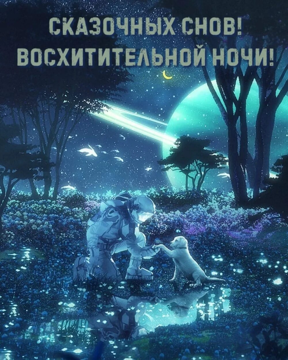 Восхитительной ночи. Великолепная ночь. Восхитительно ночи. Упоительная ночь. Изумительного сна картинки.