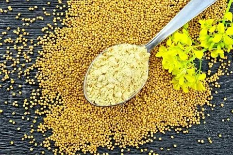 Порошок семян горчицы
