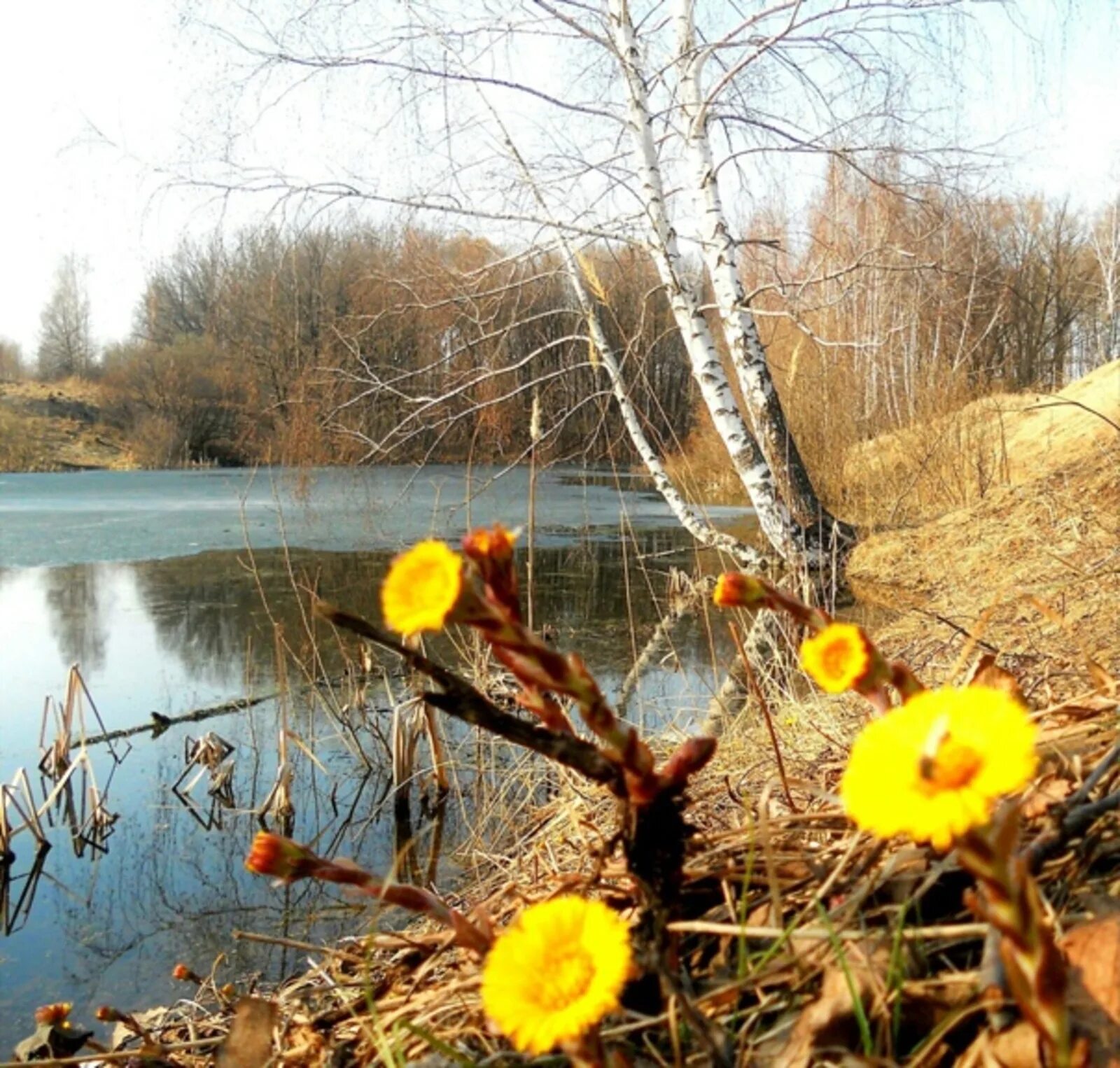 Что за праздник в конце апреля. Апрель природа. Середина весны.