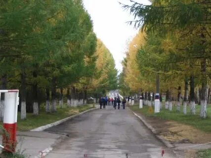 Сайт угсха