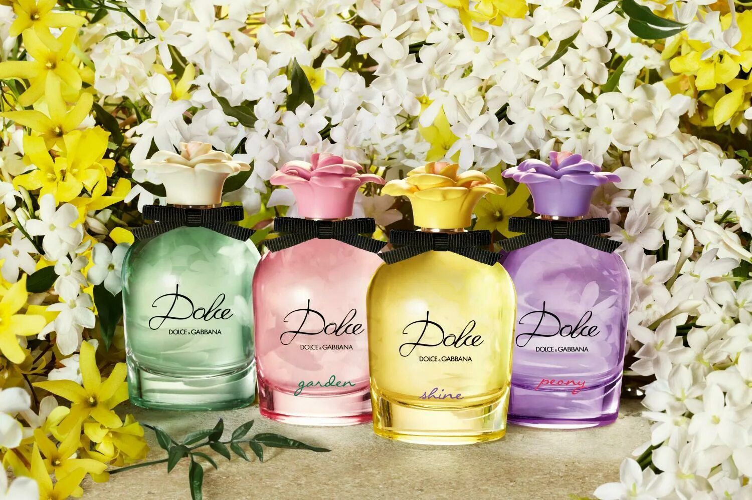 Дольче габбана новые духи. Dolce Gabbana Peony духи. Дольче Габбана пион духи. Dolce & Gabbana Dolce Shine Lady 30ml EDP. Dolce & Gabbana Dolce Shine EDP, 75 ml.