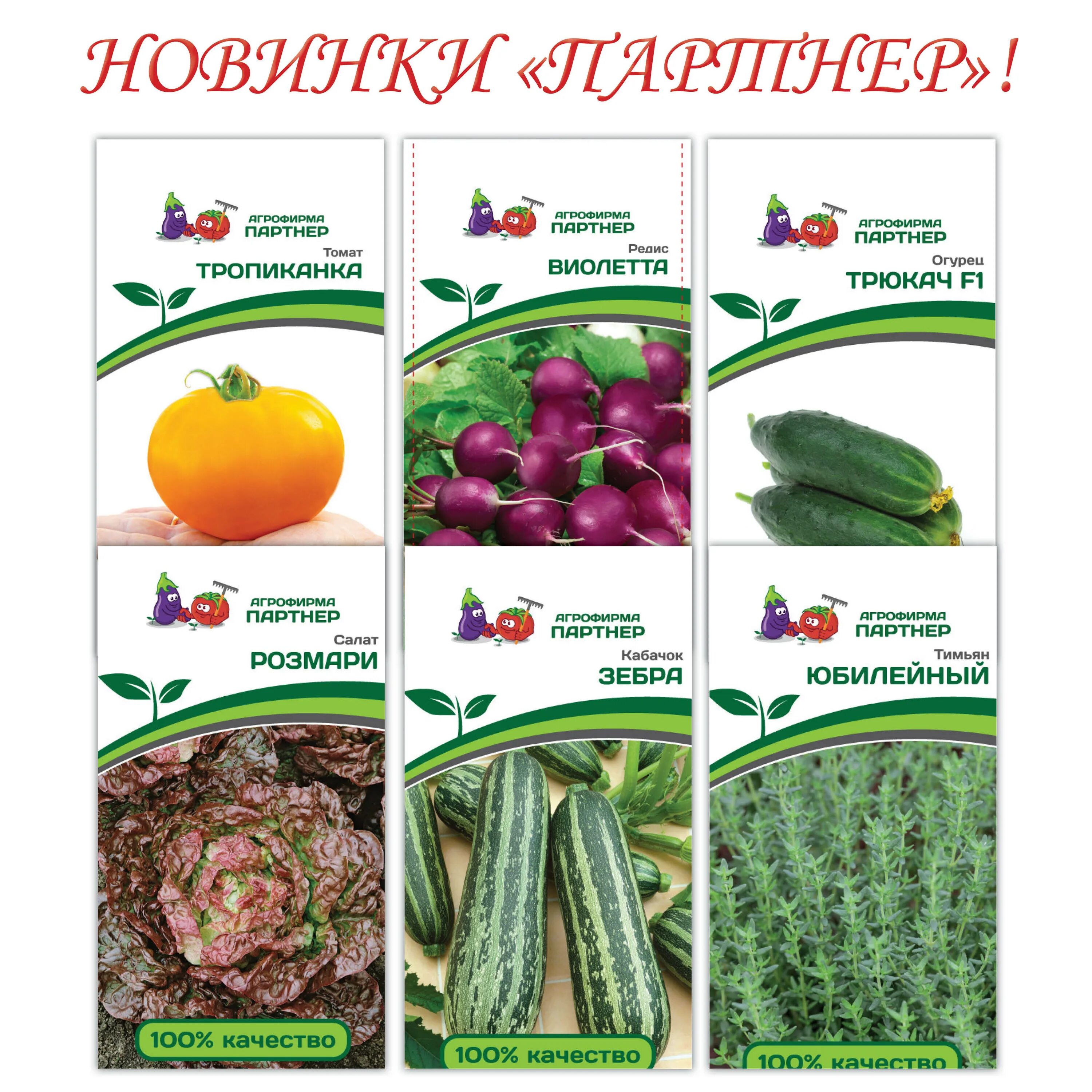 Огурец гоша отзывы Фитостудия-63.ру