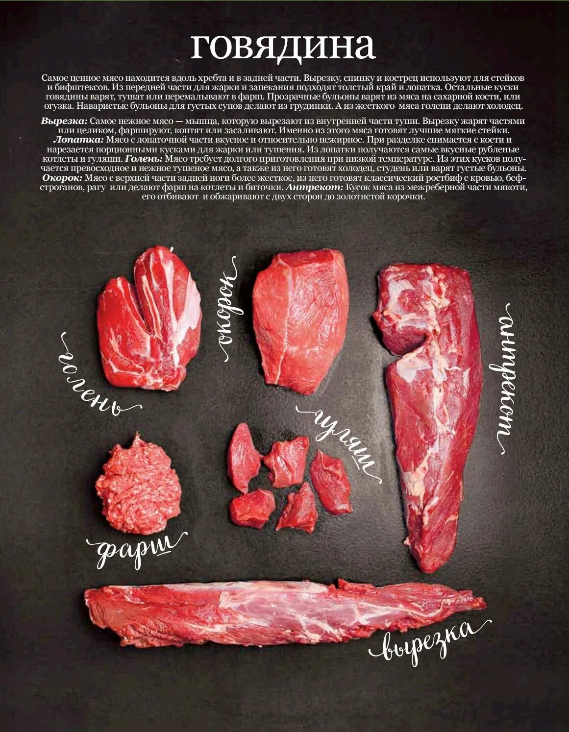 Части говядины для чего подходит. Части говядины. Мясные части говядины. Части мяса говядины вырезка.
