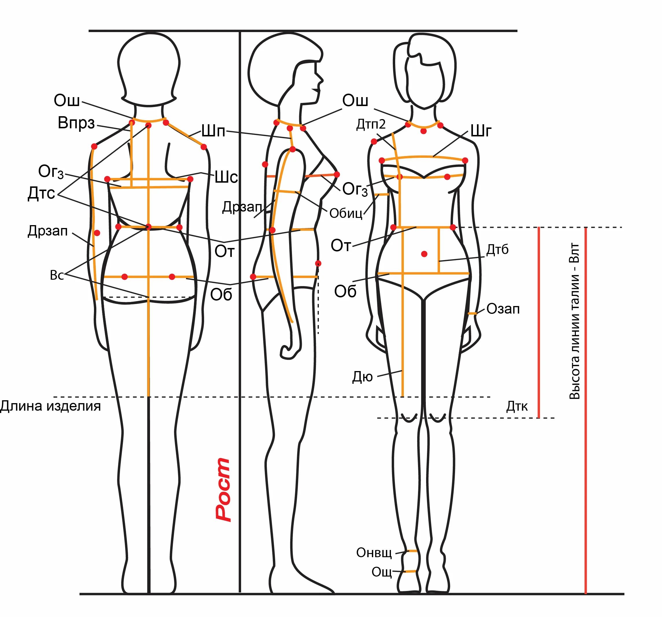 Ширину фигуры. Правильное снятие мерок для построения выкройки. Таблица снятие мерок для построения выкройки. Снятие мерок с женской фигуры таблица. Схема снятия мерок с женской фигуры для пошива.