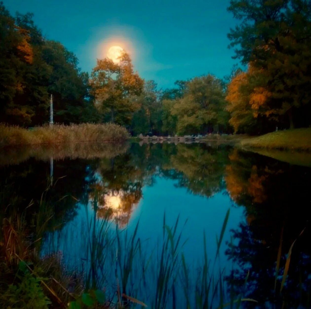 The magic of the Internet Outdoor, Scenery, Beautiful places