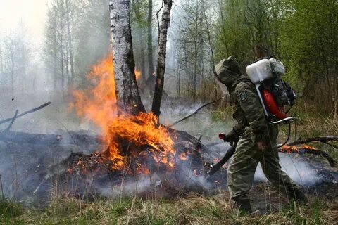 Загораются первые