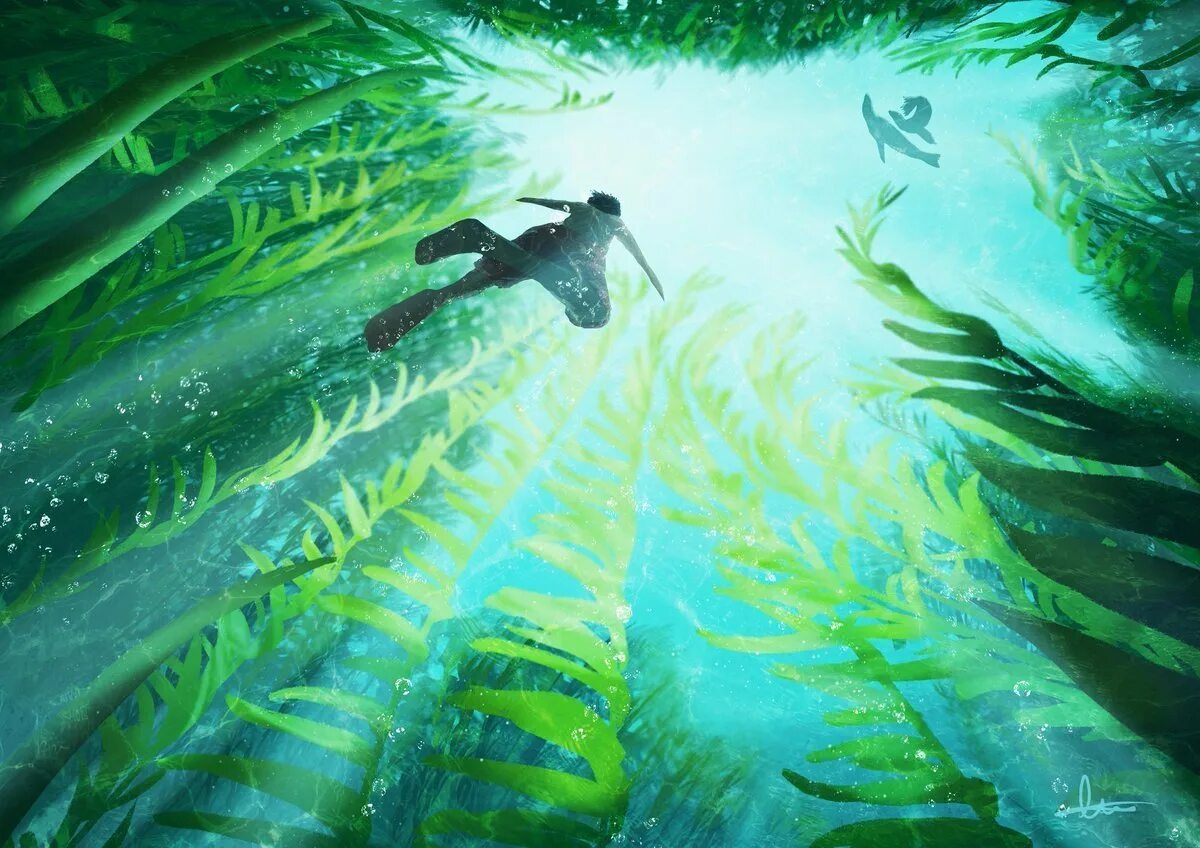 В воде рыбы водоросли. Водоросли келп ламинариевые арт. Подводный "лес"(Kelp Forest). Подводные пейзажи. Подводный мир водоросли.