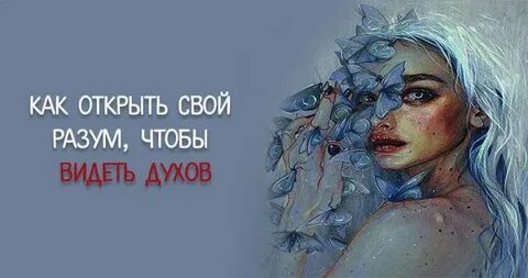Разум видит